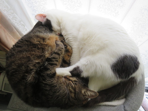 たく&かい
