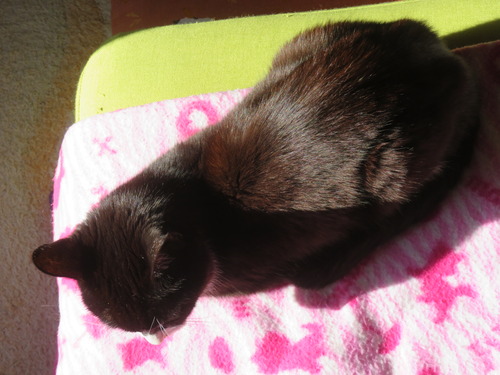 ���ä��㤤