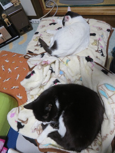 �������������