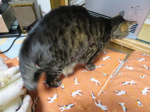 避けちゃった