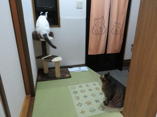 先に小窓に