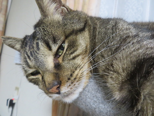 落ちないでね