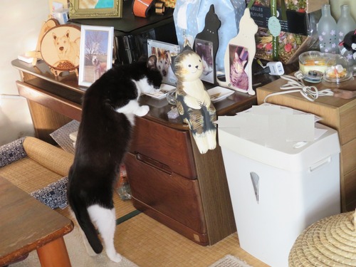 2021ǯ126ηãμѴĺޤ