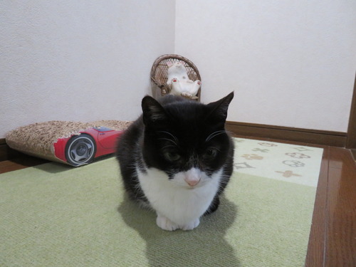 離れて