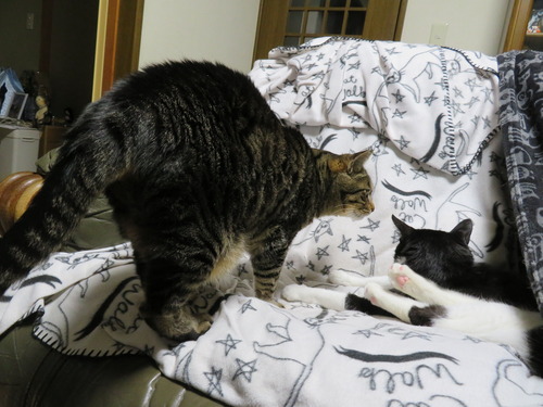 2020ǯ413ϡɤʤʤߡɤ