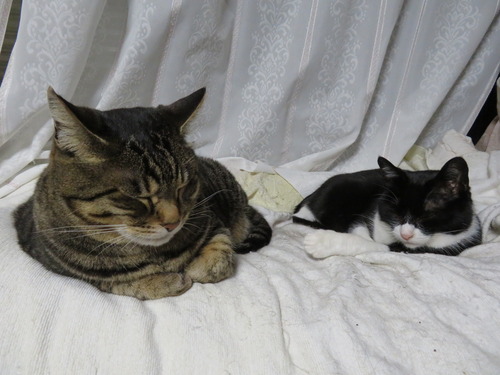 2020ǯ59ɤʤʤߡɤȡɤߡ