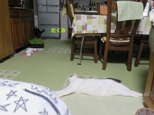 ”たくみ”を