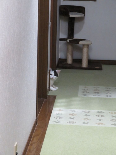 何してるの?
