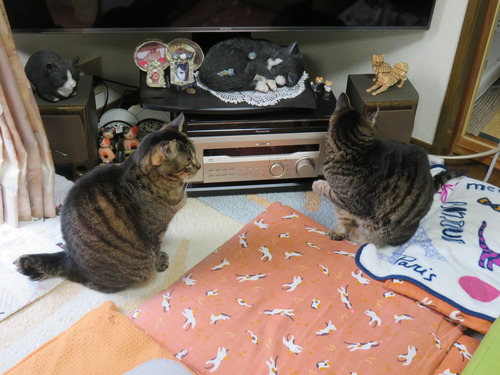 なな&たく