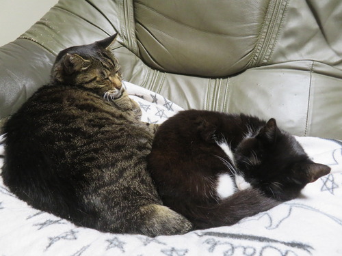 �����ä�