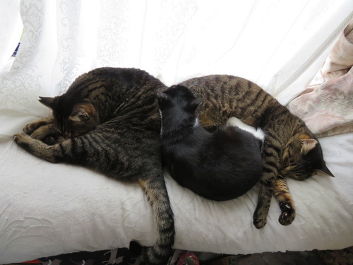 2020ǯ5122դǤԤä󤳿