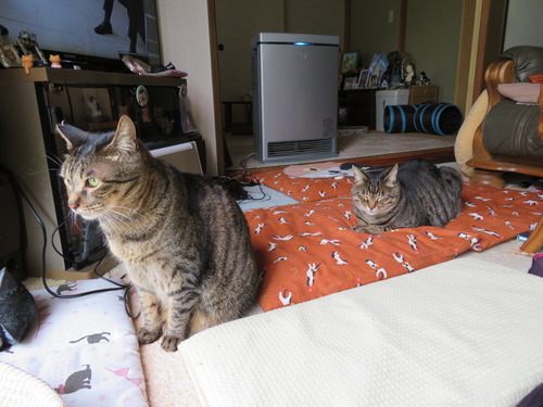 なな&たく