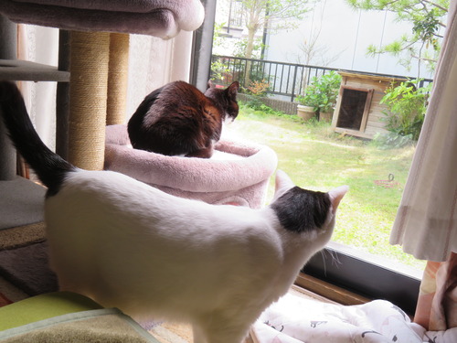 ウマウマした後