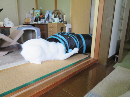 一人遊び