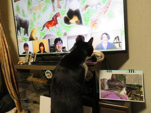 うみとTV
