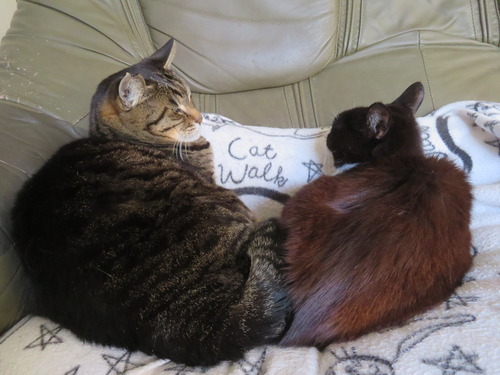 �������ꤷ��