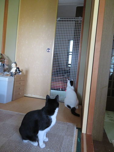 仮ゲート