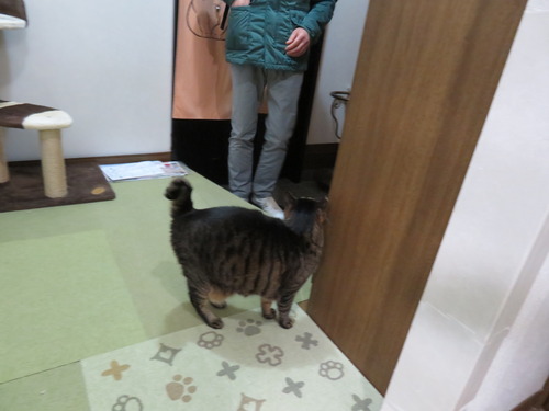 帰りなさ〜い