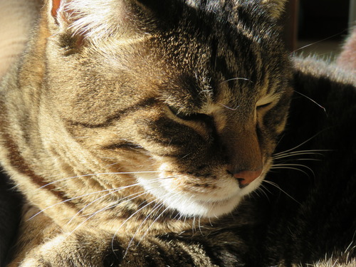 �����ä�̵��