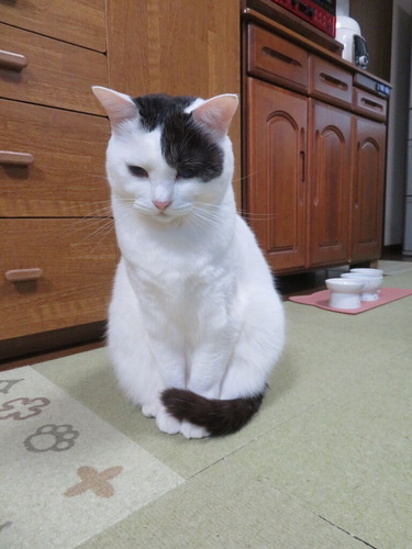 �ɤ�����