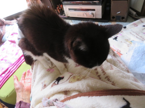 2025ǯ218­δ֤˾ä褿