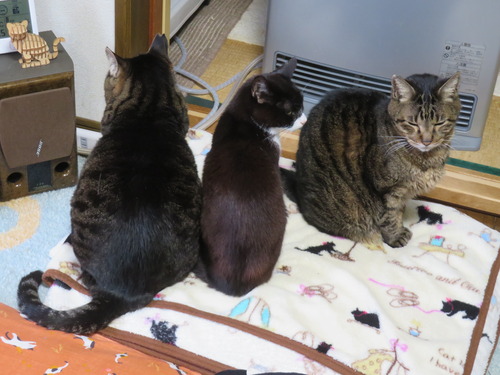 �ʤʡ����ߡ�����