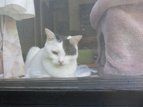 見守ってる