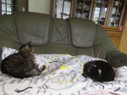 ����������������