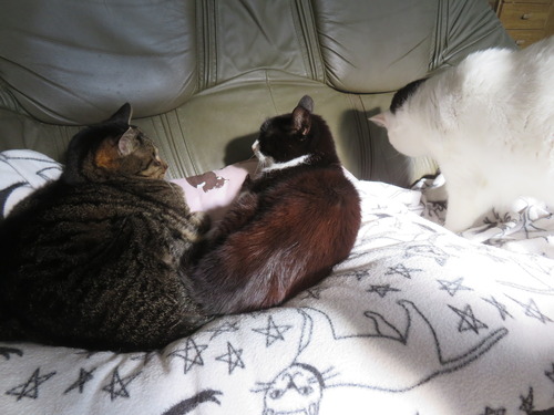 �ɤ����ɤ�