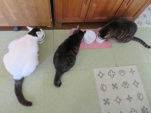 5���ޥ���