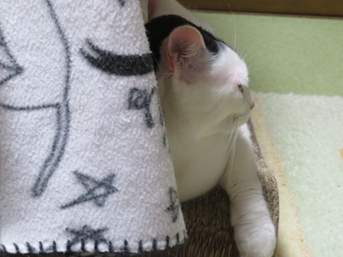 ソファ横
