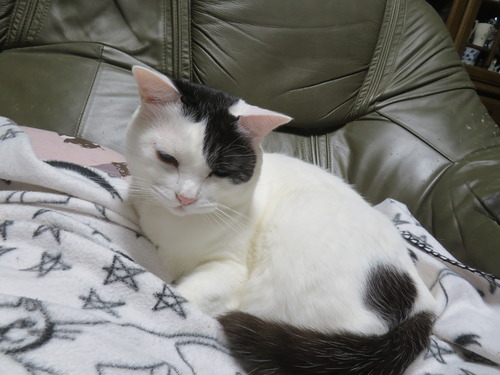 �ɤ����ɤ�