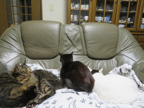 ���ե���