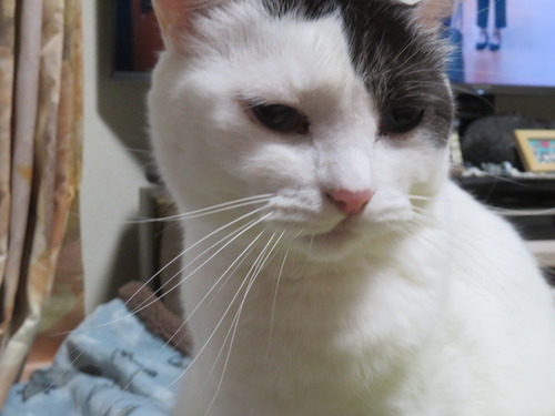 ��������β�