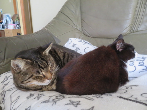 �����äȤԤä���