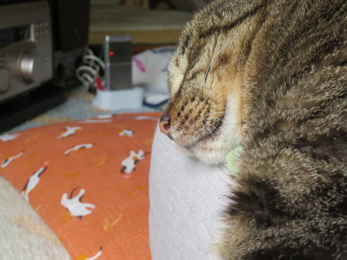 お顔