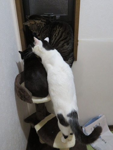 何か見えるの