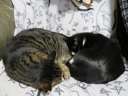 2020ǯ413뺢ʤʤߤɤ