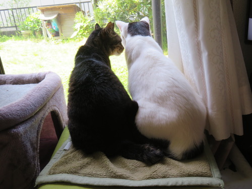 たくみ&かい