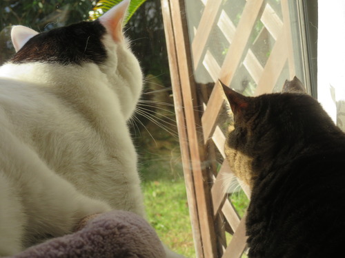 �ɤʤʡ��ɤ�����