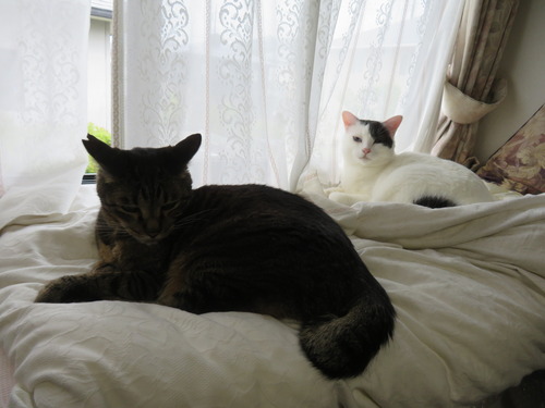 たく&かい