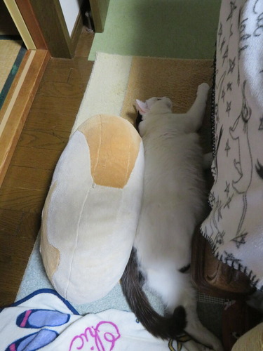クッションとソファの間に