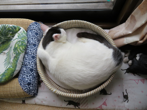 眠くなって