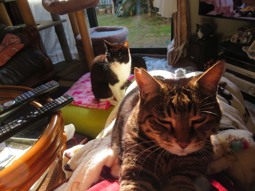 �ʤʡ�����