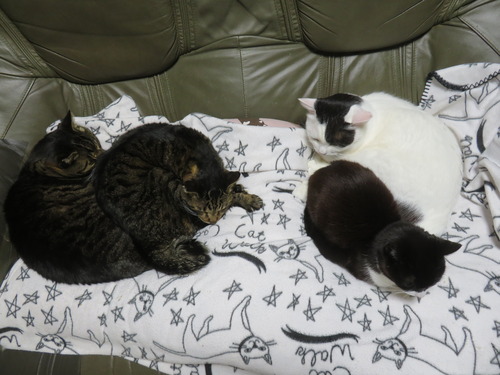 �ʤʡ����������ߡ�����