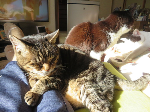 ��������˴�꤫����