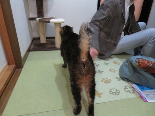 お出迎え