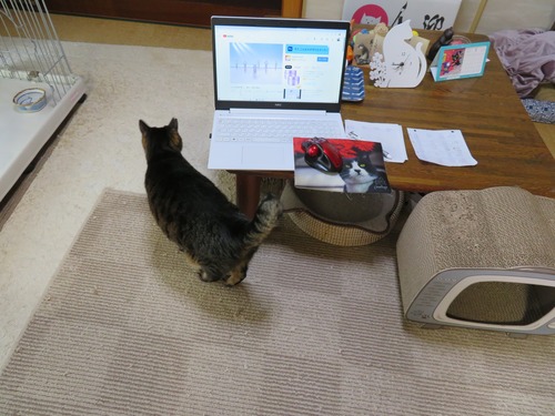 たくみが傍に