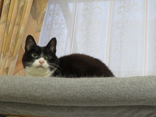 2023ǯ126ɤߡɥ٥åȾ