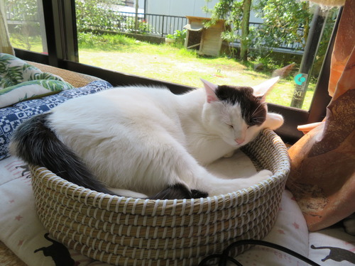 眠くなって